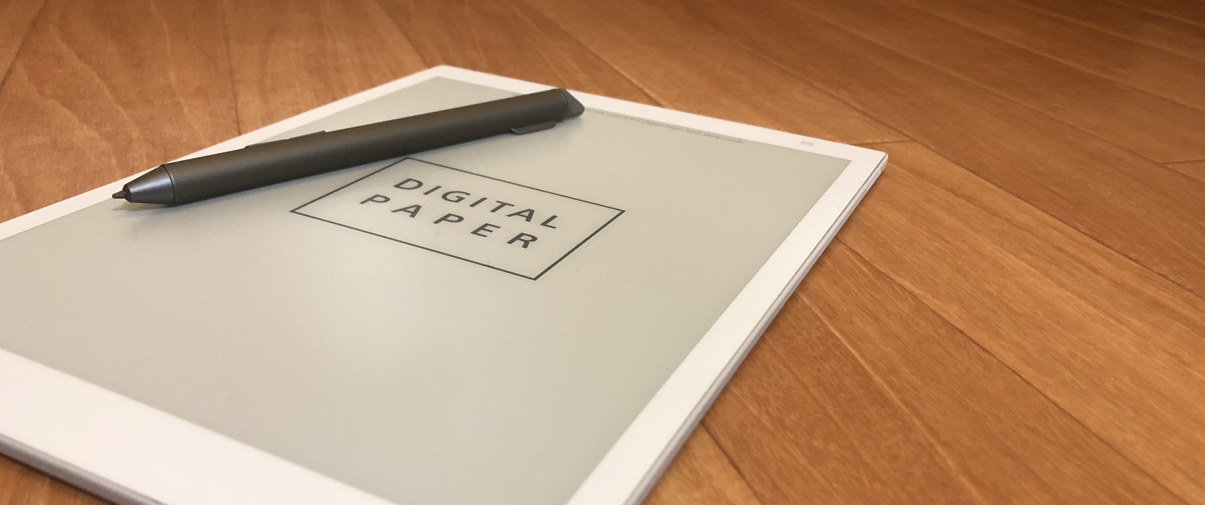 Sony problem essay image